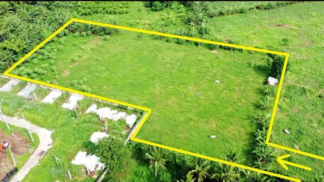 FARM LOT FOR SALE (PROPERTY 91) 7,312 SQM., SAN PABLO CITY, LAGUNA