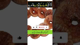 5 Injeer Khane Ke 2 Fayde Anjeer Khane Ke Fawaid Figs Health Benefits In Urdu Hindi