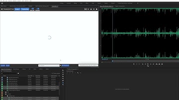 Transcriptive Rough Cutter (3.0) - Using Batch Project to Transcribe Clips and Sequences
