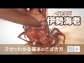 伊勢海老（いせえび）のさばき方 - How to filet Lobster -｜日本さばけるプロジェクト