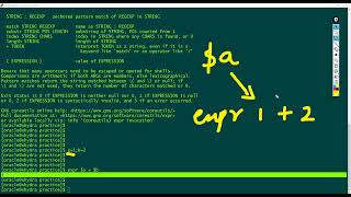 Arithmetic and Comparison Operations In Shell Script