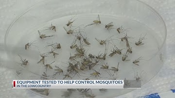 New Equipment in Mosquito Labs is Speeding up Testing