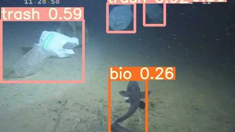 Underwater marine litter and marine life detection