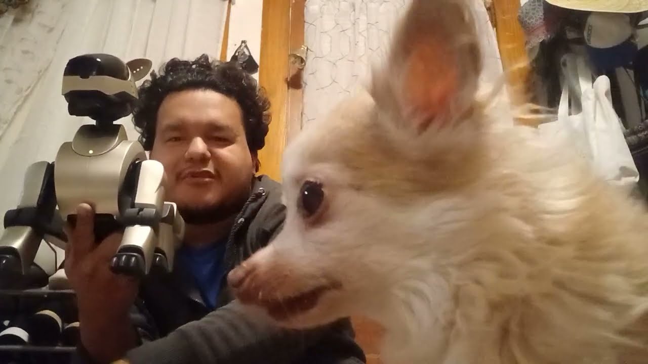 Unboxing Aibo ERS-210 (Benson) Repair For: Lucas