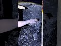 Coal mining under process 😯