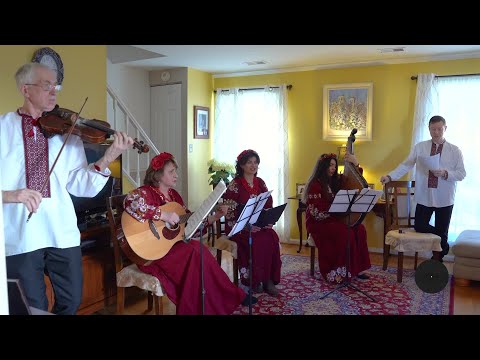 Ukrainian musicians in US express solidarity through performance | VOA News