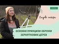 Основні Принципи Обрізки Зерняткових Дерев: Яблуні, Груші, Айва.