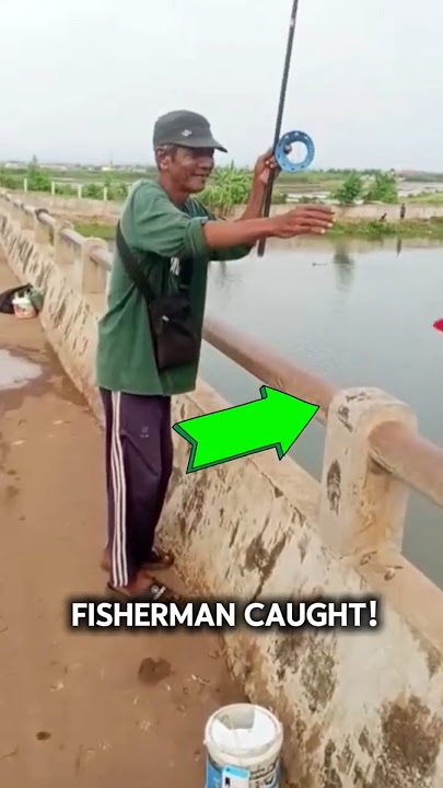 Breaking News: Fisherman Catches a Dolphin... Plushie! (Sc ig :netizeniseng) #funny #shorts