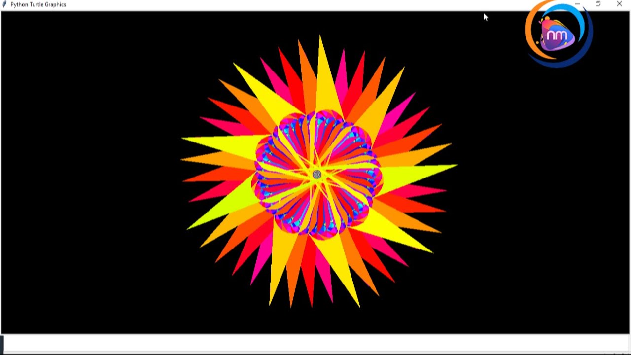 Turtle Design || Turtle Program - YouTube