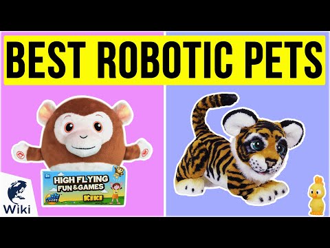 best pet robot