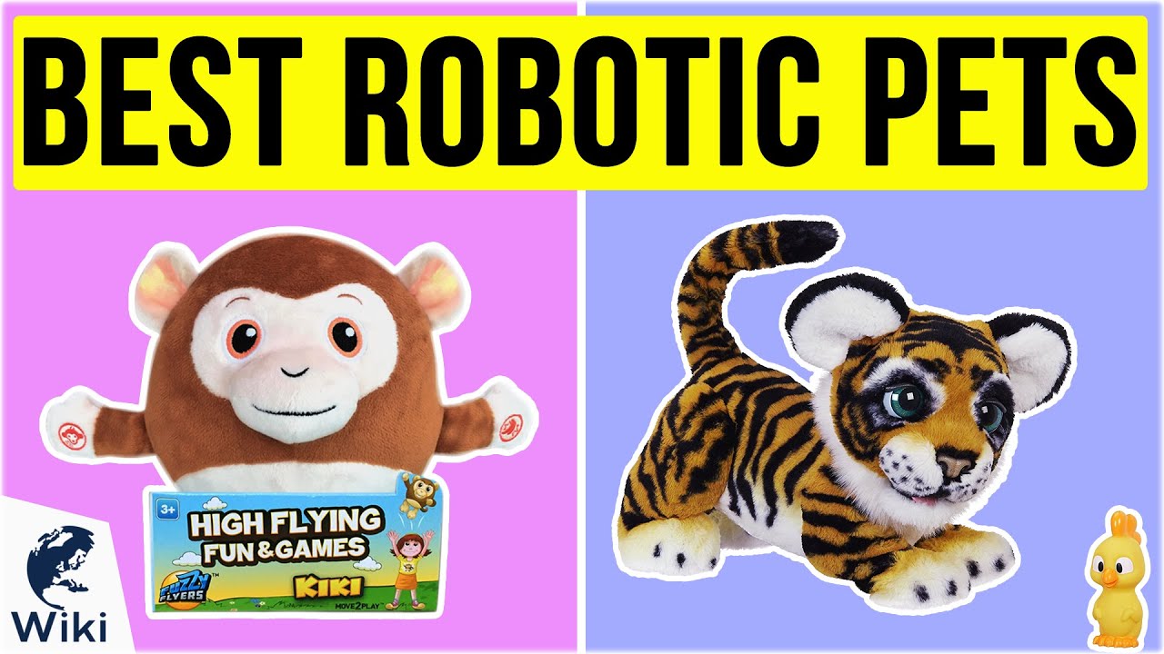 10 Best Robotic Pets 2020 YouTube