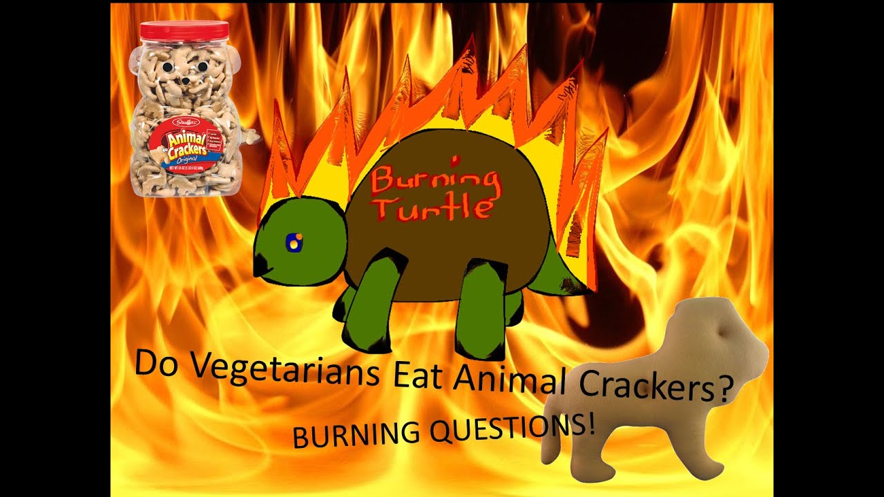 Burning Questions Do Vegetarians Eat Animal Crackers? YouTube