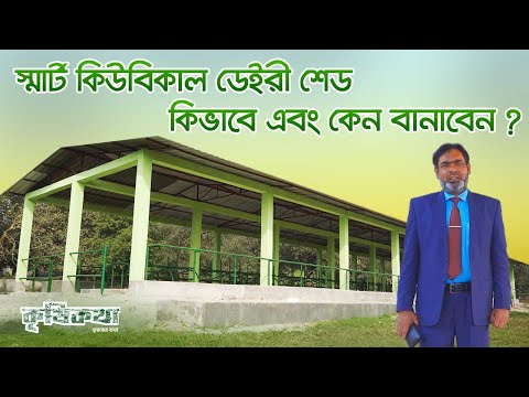 ভিডিও: চৌ চৌ শেড কি?