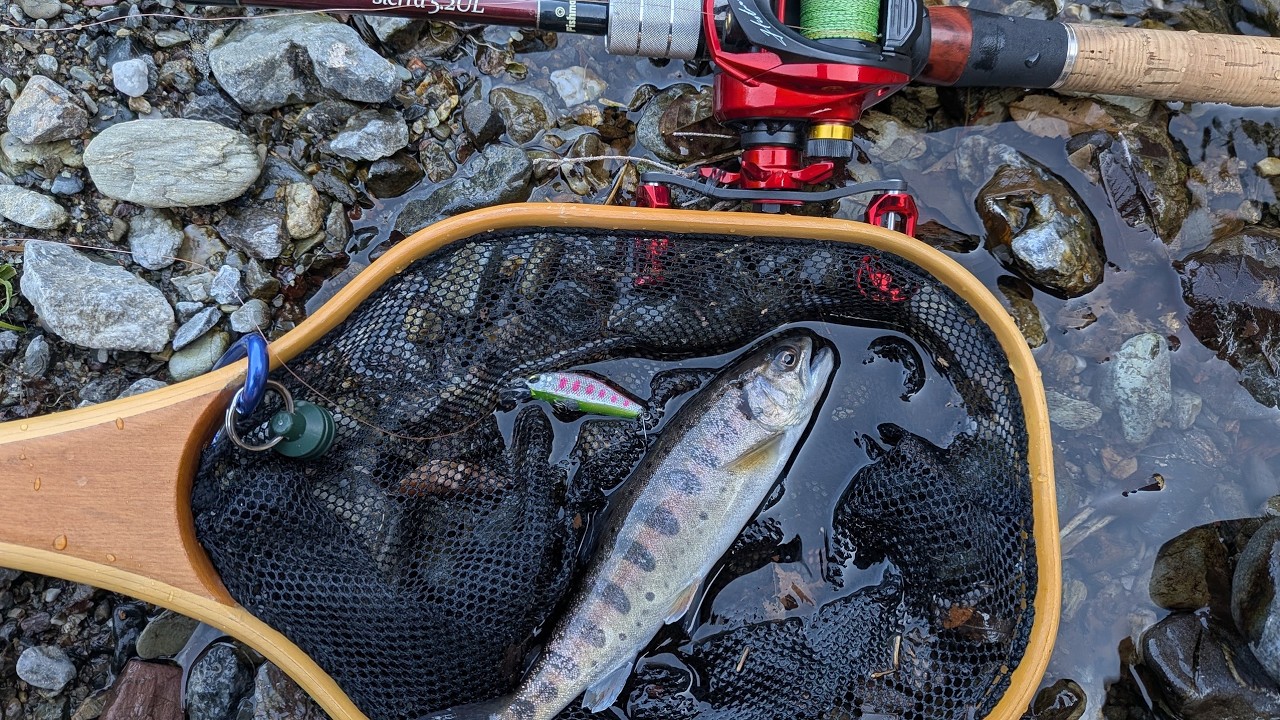 2026年㊗️入間川解禁釣行に行って来ました！