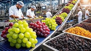 How Fresh Grapes Become Sweet Raisins | Full Factory Process