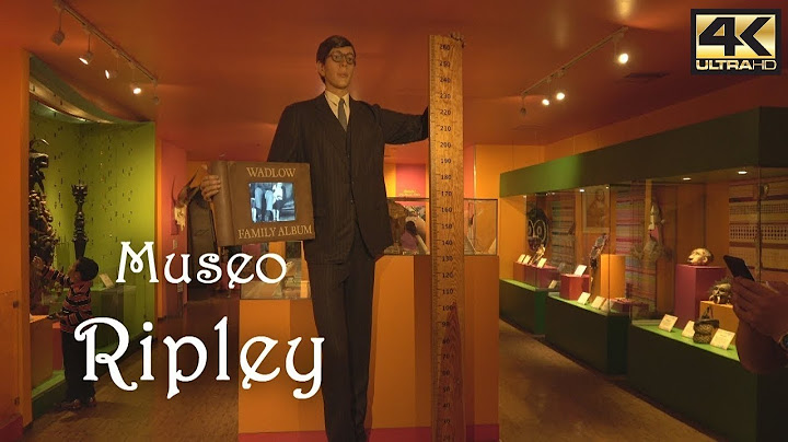 MUSEO DE RIPLEY EN MÉXICO DF. Datos para visitantes [4K]