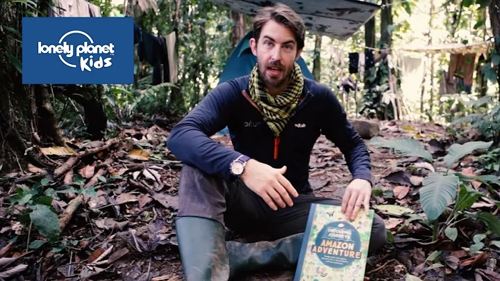Meet the animals of the Amazon rainforest - Lonely Planet Kids