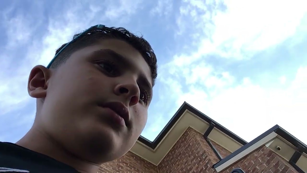 I was shooting birds in my backyard with a nerf gun