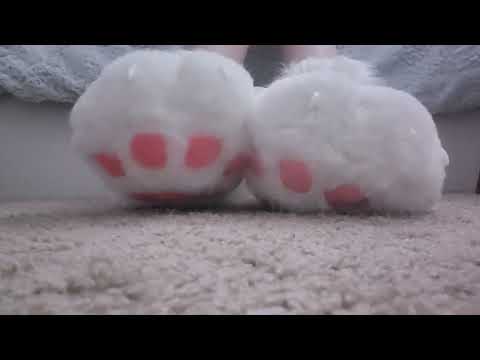 new paw slippers