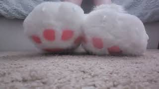 New Paw Slippers