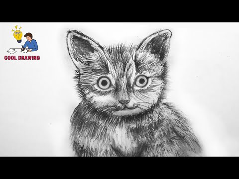 Cat drawing Black and White Stock Photos  Images  Alamy