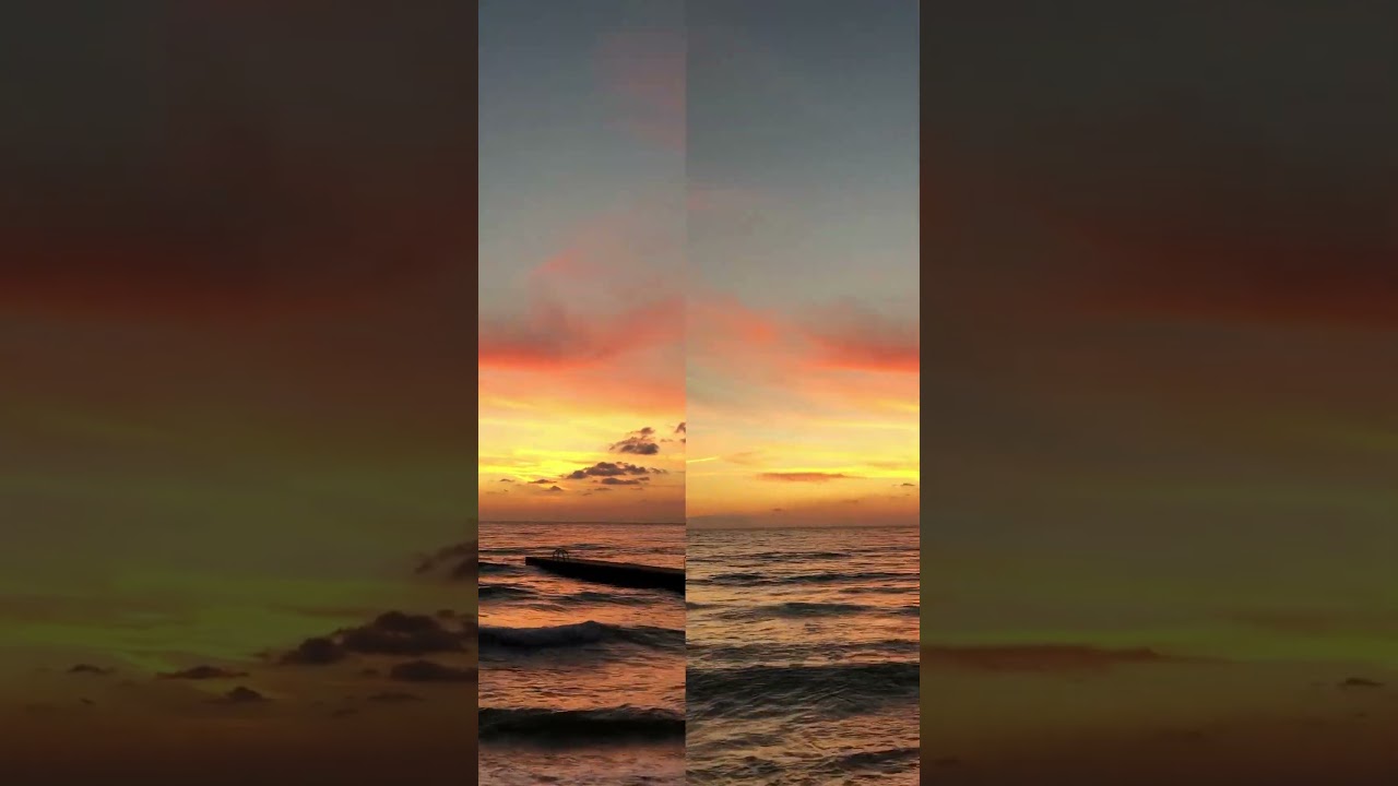 Exploring the Beauty and Wonder of Nature / BHS Vivid Vlogger 