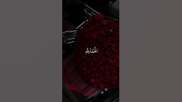 ﴿وَآخِرُ دَعْوَاهُمْ أَنِ الْـحَمْدُ لِلَّهِ رَبِّ الْعَالَمِينَ﴾  سورة يونس – الآية 10☘️.
