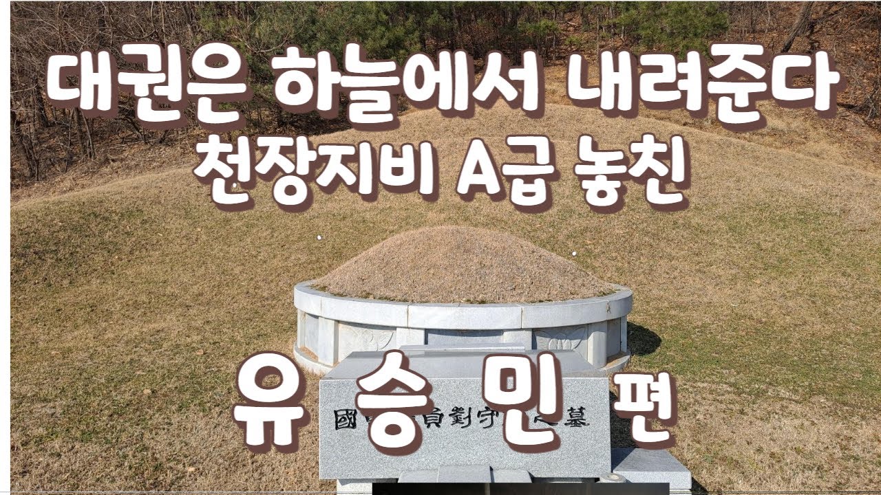 A급 대명당 놓친 유승민 대권풍수/천장지비 발복지/아쉬운 명당