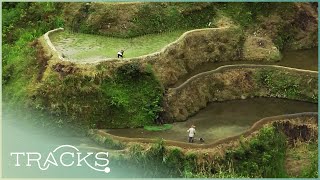 The Eighth Wonder of the World: Philippines' Rice Terraces \& Its Farmers (Full Documentary) | TRACKS