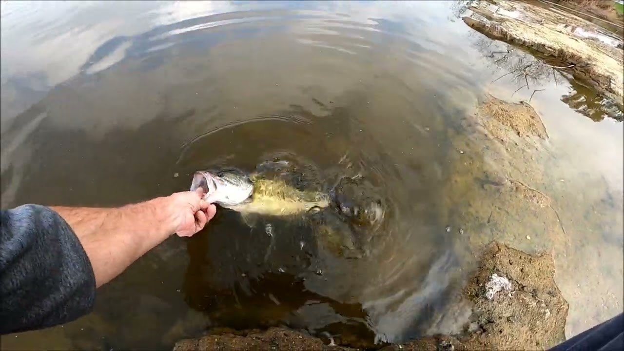 Gibson Ranch park pond bass fishing