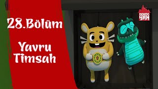 Mondo Yan Yavru Timsah 28.Bölüm Türkçe Çizgi Film İzle