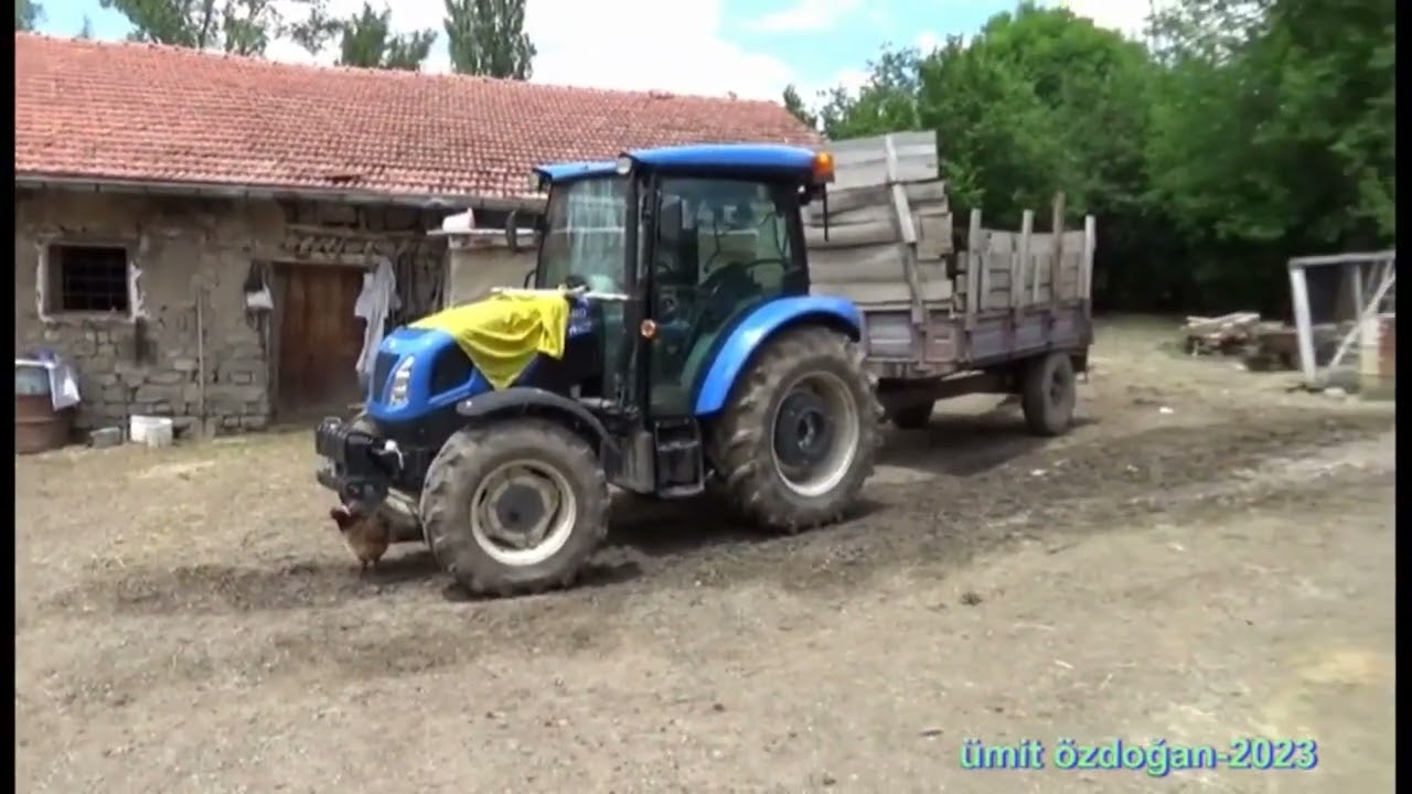 DİKTAŞ KÖYÜ -  2023