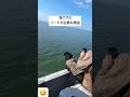 海で犬にリードが必要な理由