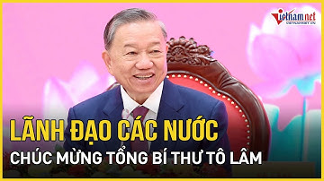 Lãnh đạo các nước chúc mừng Tổng Bí thư, Chủ tịch nước Tô Lâm | Báo VietNamNet