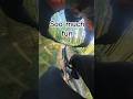 #mtb #shorts