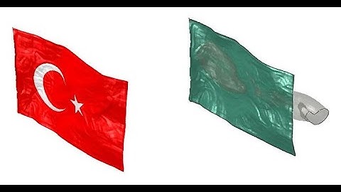 Flag FSI CEL Simulation in ABAQUS