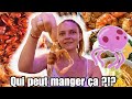 QUI OSE MANGER ÇA ?! (Thaïlande)