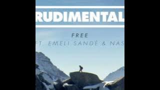 Rudimental - Free (remix) ft. Emeli Sande and Nas