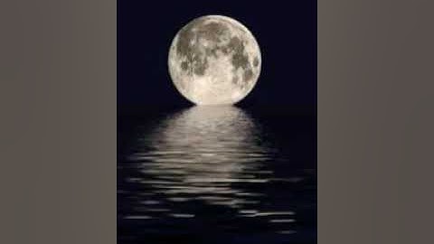 القارئ عبد الرحمن مسعد تلاوة خاشعة من سورة النحل