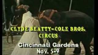 Shreve Steinbergs Ringmaster Commercial