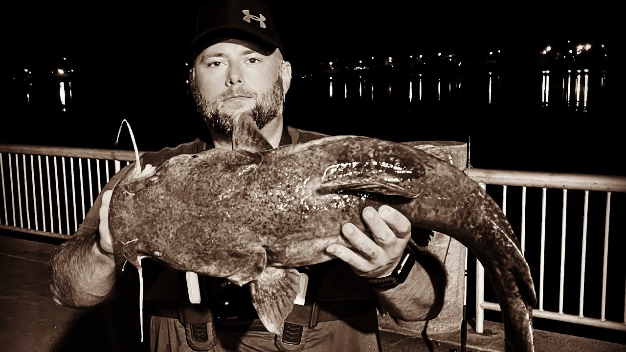 Urban Catfishing for Flatheads with the boys… YouTube