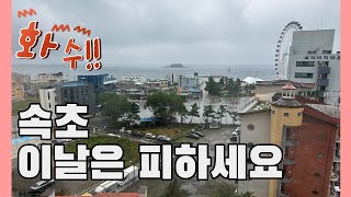 [먹으러 속초] 술꾼?들의 속초여행 - 아바이회국수, 장홍김밥, 속초중앙시장, 더엠브로시아, 대구탕 (02)