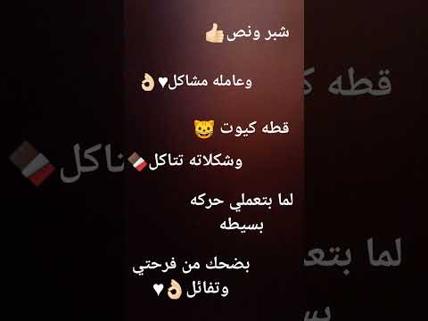 شبر ونص وعامله مشاكل رنيم