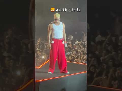 انا شايفك قطة  1 محمدرمضان ثقة في الله نجاح ملك