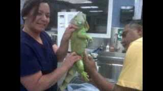 All Creatures Animal Hospital and Luxury Boarding Suites 951-600-0830 www.allcreatures.us