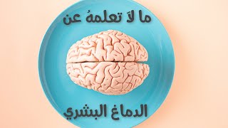 !!!!!!! معلومات صادمة عن الدماغ البشري