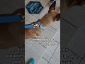 #motivational #perritos #perros
