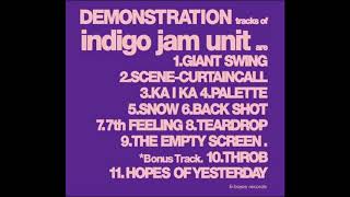Indigo Jam Unit: Demonstration - Back Shot