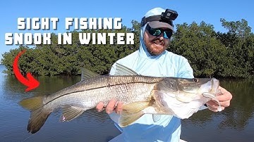 Sight Fishing Snook & Redfish In The Winter [On-The-Water Report]
