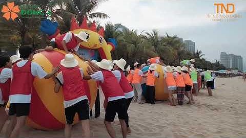 Trần Thị Linh_AT22A_99228_Video báo cáo thực tập nghề nghiệp 2